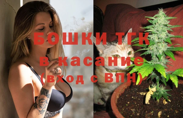 молекула духа Белоозёрский